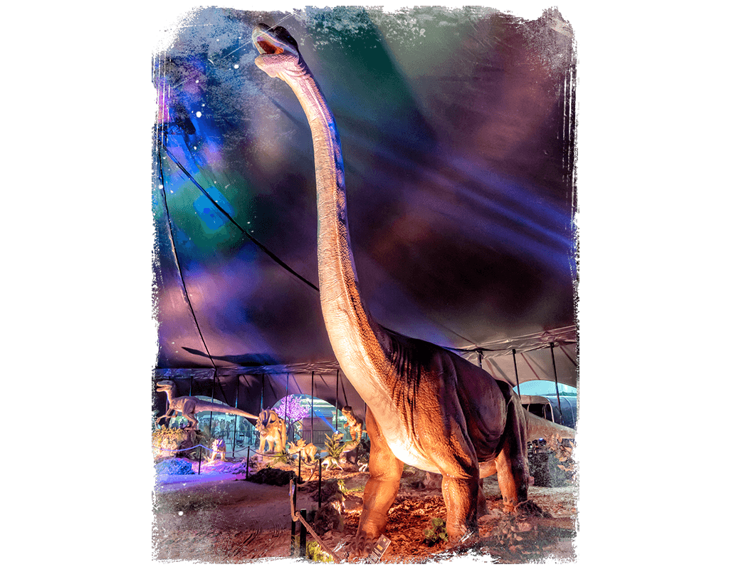 Saurios Exposicion dinosaurios
